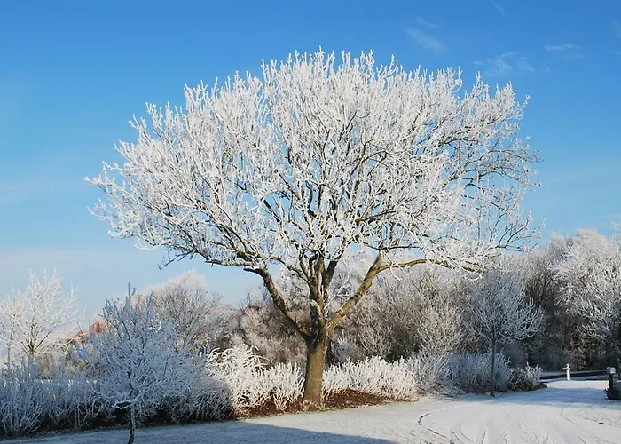 Апартаменты Unter Reet Вестерхевер